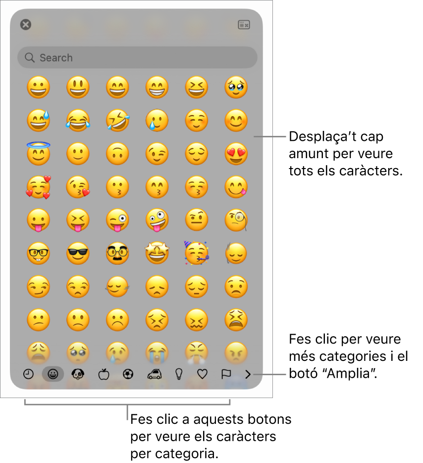 La finestra emergent “Caràcters especials”, amb emoticones, botons per a diversos tipus de símbols a la part inferior i una llegenda d’un botó per mostrar la finestra “Caràcters especials” completa.