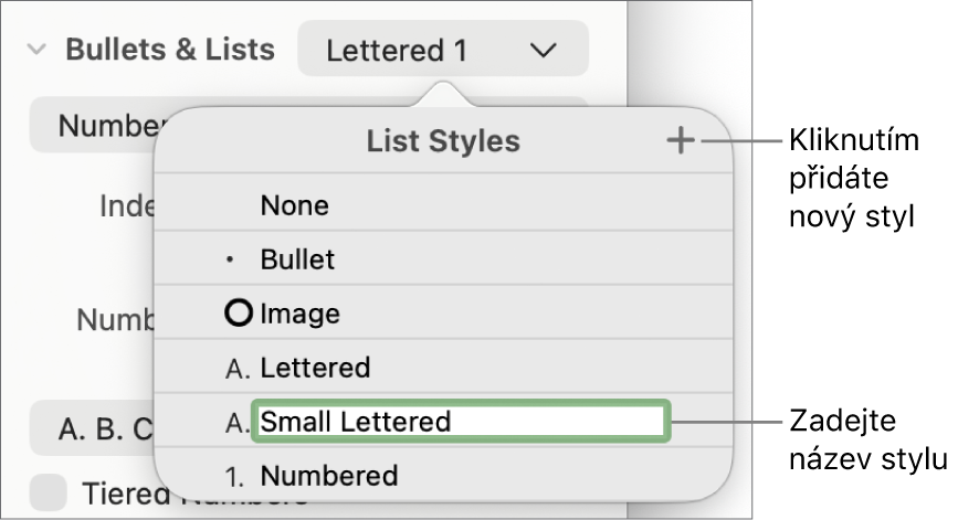 Nabídka Styly seznamů s tlačítkem Přidat v pravém horním rohu a maketou názvu stylu s vybraným textem