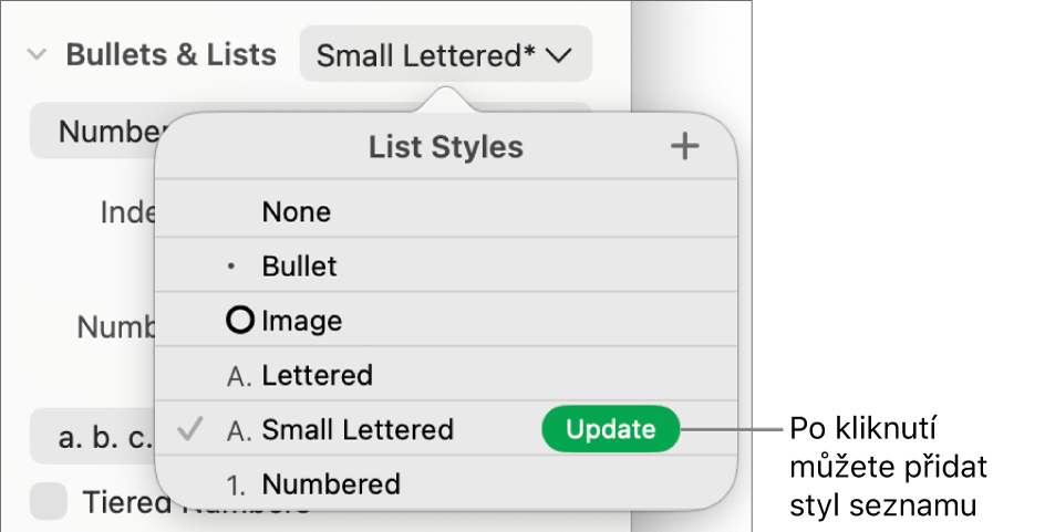 Místní nabídka Styly seznamů s tlačítkem Aktualizovat u názvu nového stylu