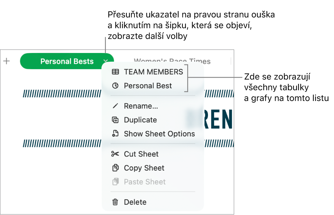 Štítek listu s otevřenou místní nabídkou, v níž jsou zobrazeny různé možnosti, včetně možnosti Duplikovat