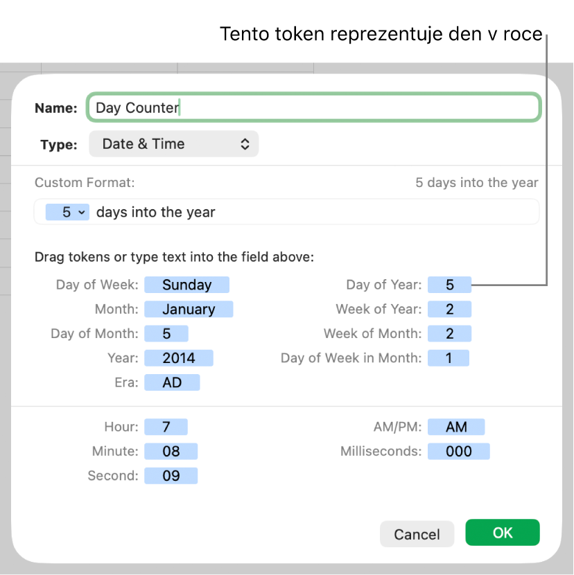 Vlastní formát buněk obsahujících datum a čas