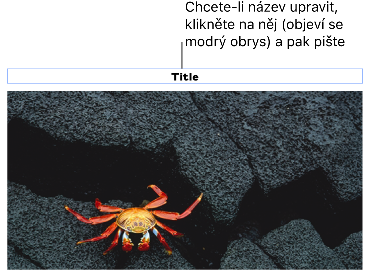 Pod fotkou se nachází maketa nadpisu s názvem „Nadpis“; pole nadpisu je zvýrazněné modrým obrysem