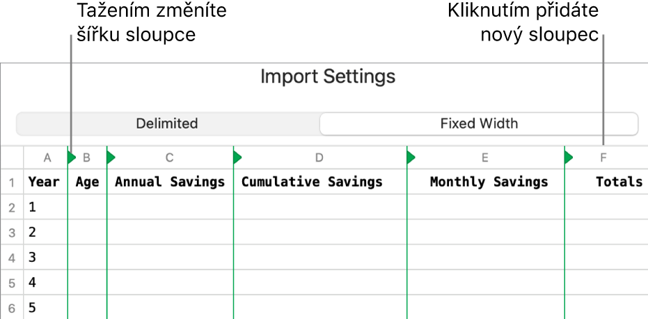Nastavení importu pro text s pevnou šířkou.