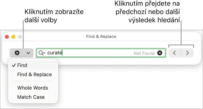 Okno Hledat a nahradit s místní nabídkou obsahující volby Hledat, Hledat a nahradit, Celá slova a Rozlišovat velikost. Pomocí šipek na pravé straně můžete přejít na předchozí nebo následující výsledek hledání.