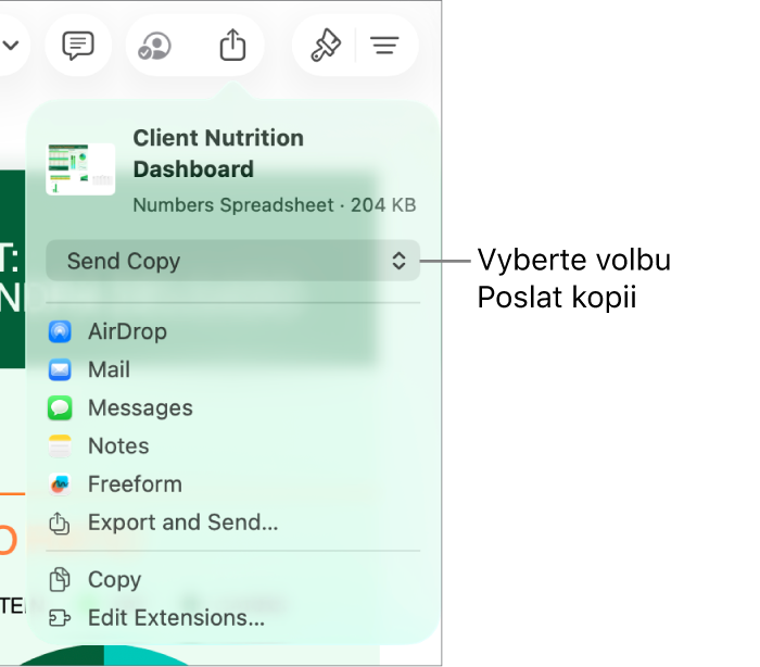 Nabídka sdílení, v níž je nahoře vybraná volba Poslat kopii