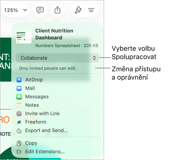 Nabídka sdílení, v níž je nahoře vidět vybraná volba Spolupracovat a pod ní volby pro nastavení přístupu a oprávnění