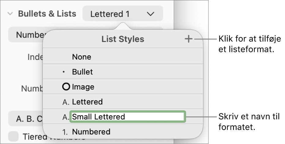 Lokalmenuen Listeformater med knappen Tilføj i øverste højre hjørne og et eksempel på et formatnavn med teksten valgt.