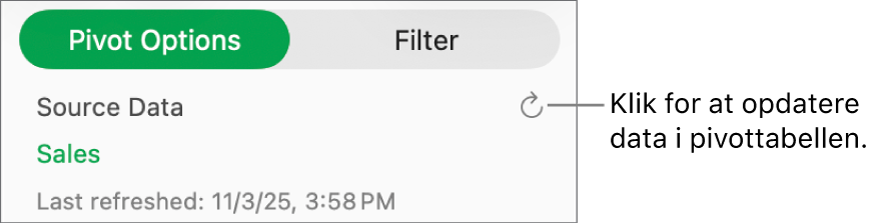 Fanen Pivotindstillinger, der viser muligheden for opdatering af pivottabellen.