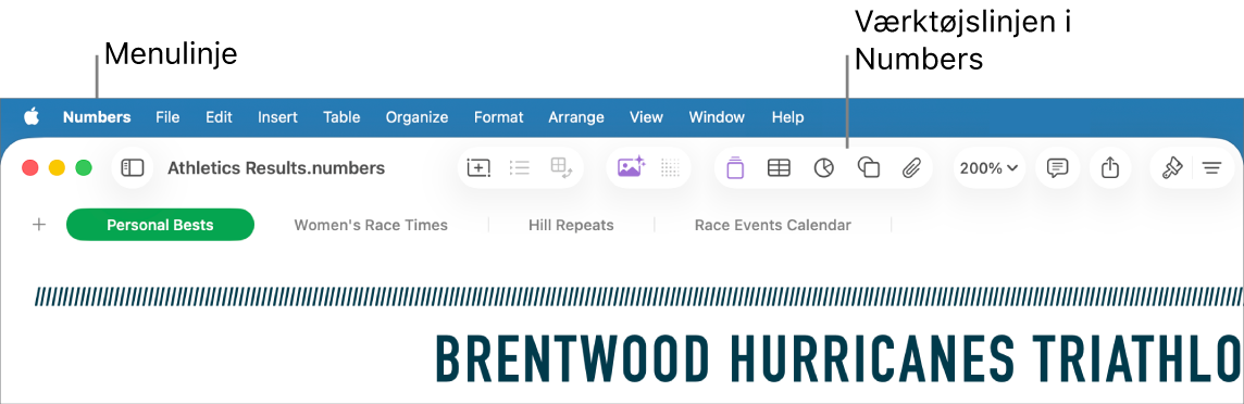 Menulinjen øverst på skærmen med menuerne Apple, Numbers, Arkiv, Rediger, Indsæt, Format, Arranger, Oversigt, Vindue og Hjælp. Under menulinjen ses et åbent Numbers-regneark med knapperne Oversigt, Zoom, Tilføj kategori, Pivottabel, Indsæt, Tabel, Diagram og Tekst på værktøjslinjen øverst.