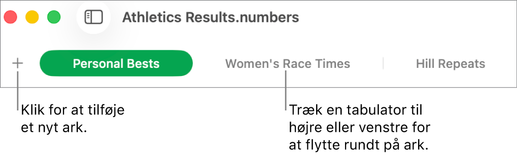 Fanelinjen til tilføjelse af et nyt ark og organisering af ark.