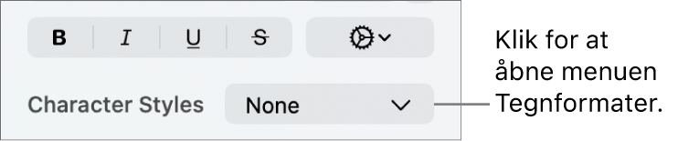 Lokalmenuen Tegnformater.