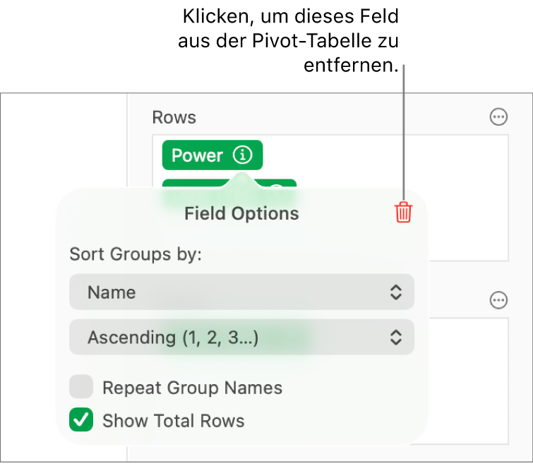 Das Menü „Feldoptionen“ mit Steuerelementen zum Gruppieren und Sortieren von Daten sowie einer Option zum Entfernen eines Feldes.