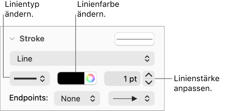 Steuerelemente zum Festlegen der Endpunkte, der Linienstärke und der Farbe