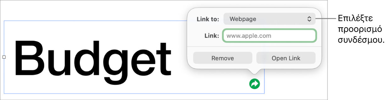 Τα στοιχεία ελέγχου του επεξεργαστή συνδέσμων με επιλεγμένη την «Ιστοσελίδα», και τα κουμπιά «Αφαίρεση» και «Άνοιγμα συνδέσμου» στο κάτω μέρος.