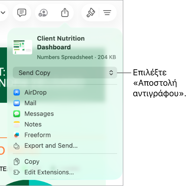 Το μενού «Κοινή χρήση» με επιλεγμένη την «Αποστολή αντιγράφου» στο πάνω μέρος.
