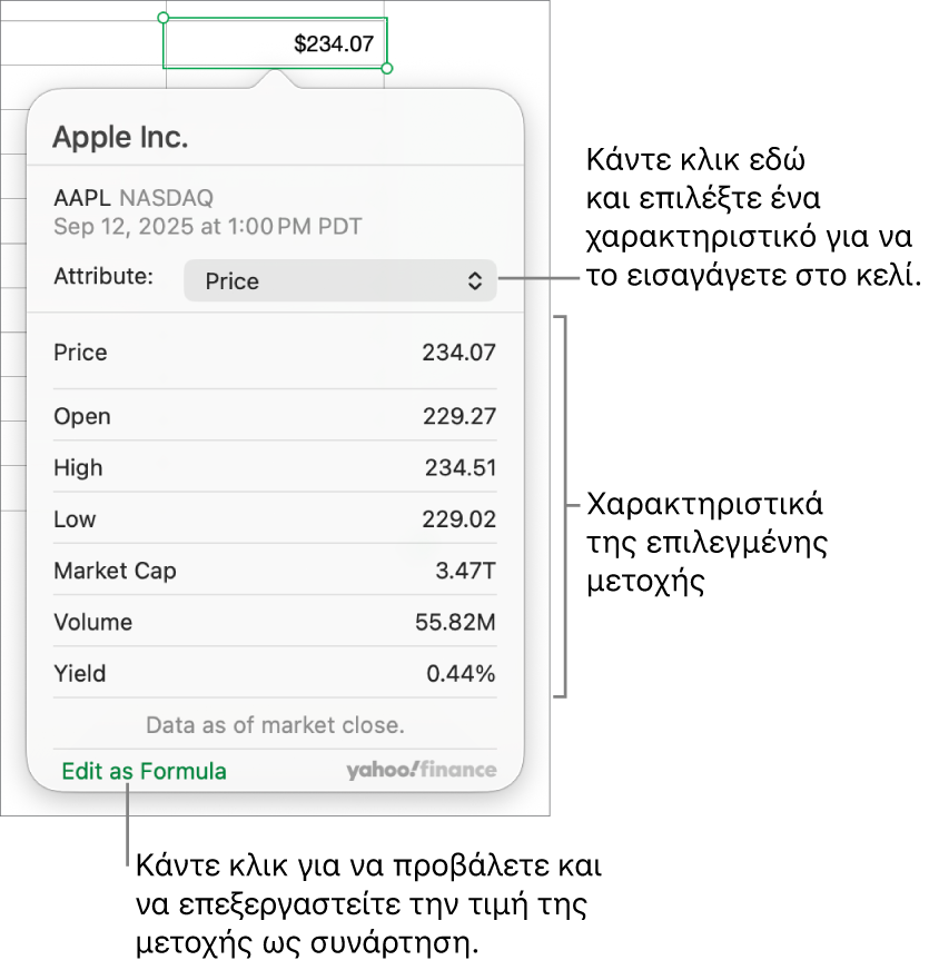 Το πλαίσιο διαλόγου για την εισαγωγή πληροφοριών χαρακτηριστικών μετοχών, με επιλεγμένη τη μετοχή της Apple.