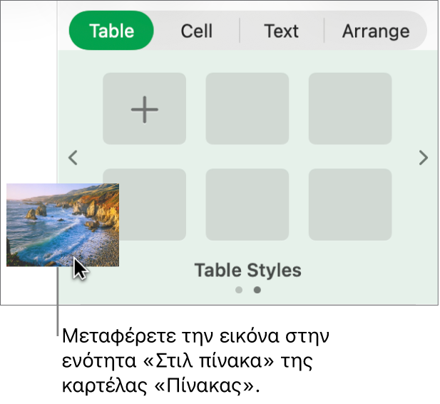Μεταφορά εικόνας στα στιλ πινάκων για τη δημιουργία νέου στιλ.