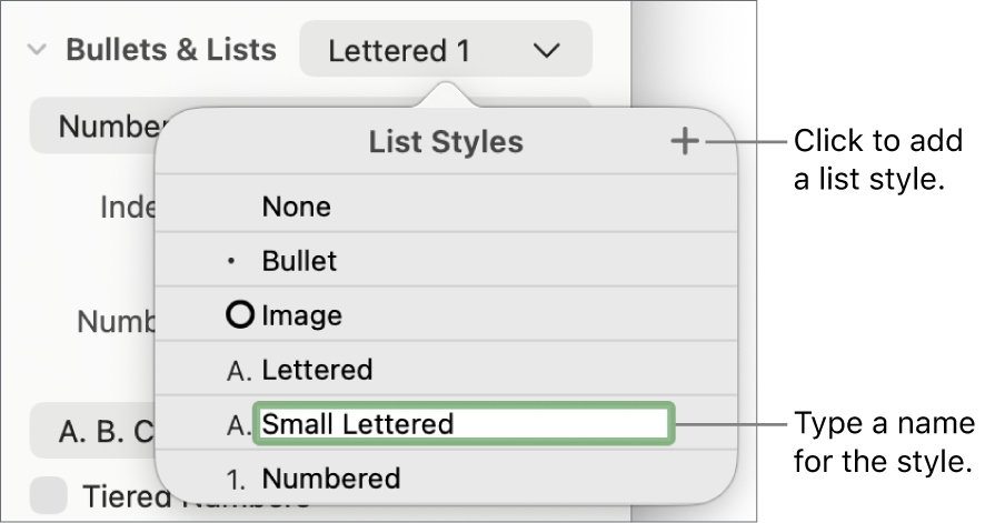The List Styles pop-up menu with an Add button in the top-right corner and a placeholder style name with its text selected.