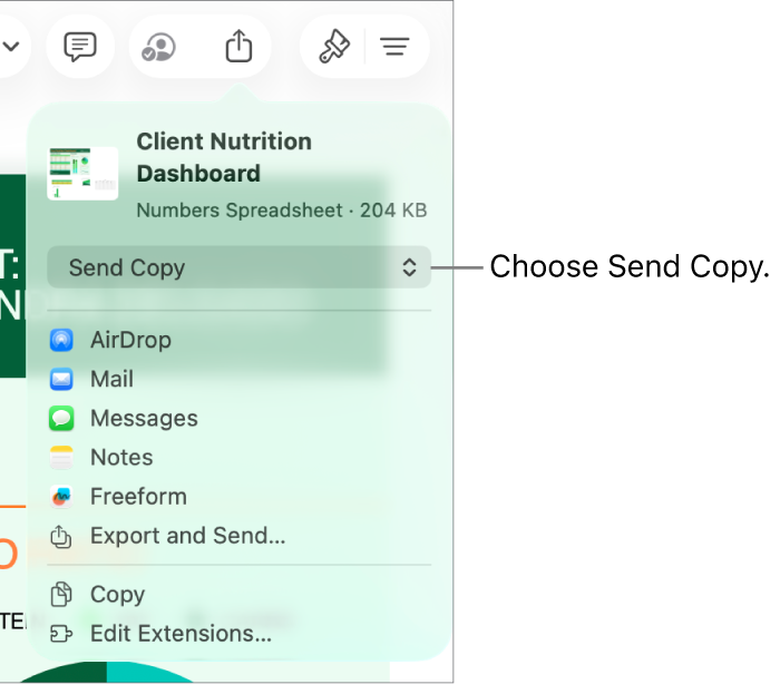 The Share menu with Send Copy selected at the top.