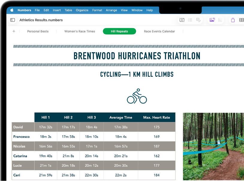 A spreadsheet tracking hiking information, showing sheet names near the top of the screen. The Add Sheet button is on the left, followed by sheet tabs for Hiking Schedule, Elevation, Track Segments, Gear and Food. The Elevation sheet is selected.