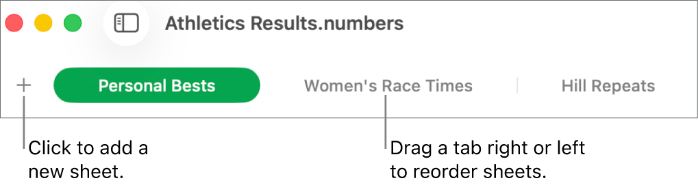 The tab bar for adding a new sheet and reorganising sheets.