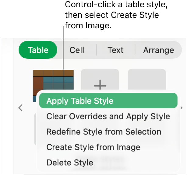 The table style shortcut menu.