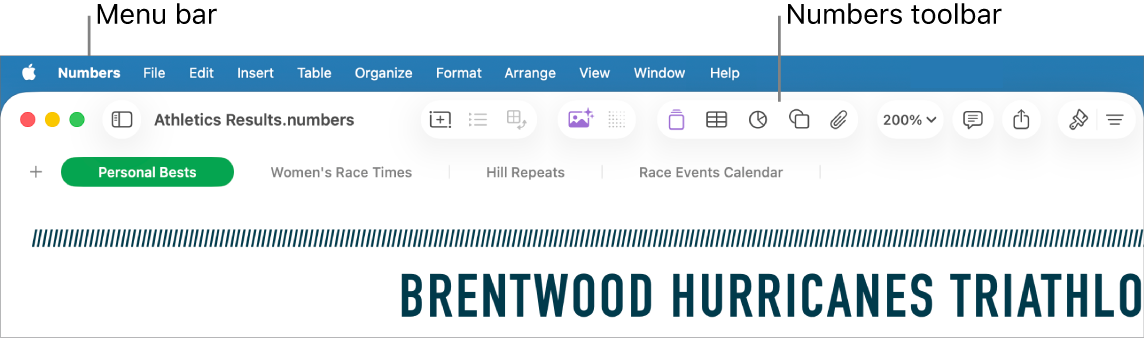 The menu bar at the top of the screen with Apple, Numbers, File, Edit, Insert, Table, Organise, Format, Arrange, View, Window and Help menus. Below the menu bar is an open Numbers spreadsheet with toolbar buttons across the top for View, Zoom, Add Category, Pivot Table, Insert, Table, Chart and Text.