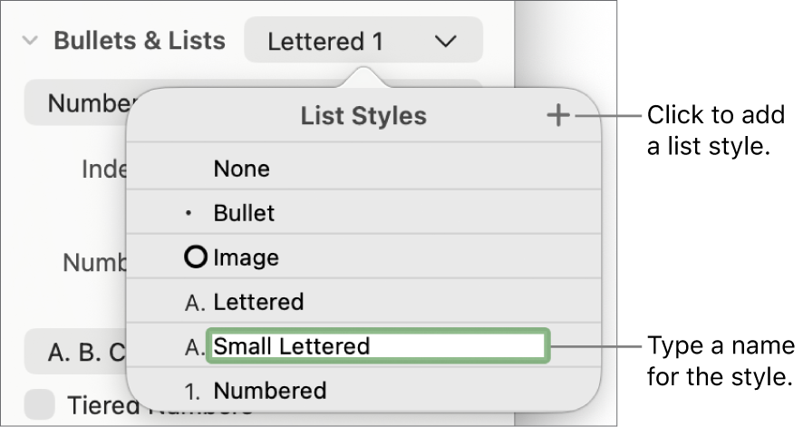 The List Styles pop-up menu with an Add button in the top-right corner and a placeholder style name with its text selected.