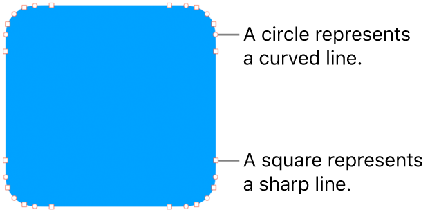 A shape with editable points.