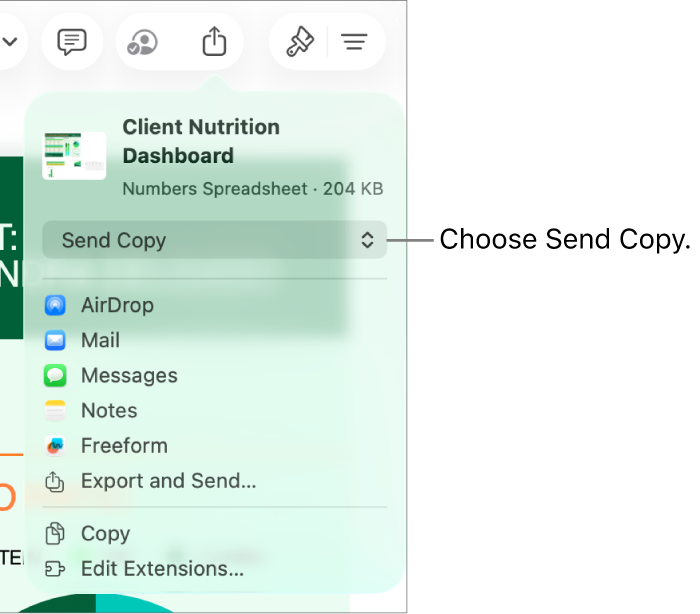 The Share menu with Send Copy selected at the top.