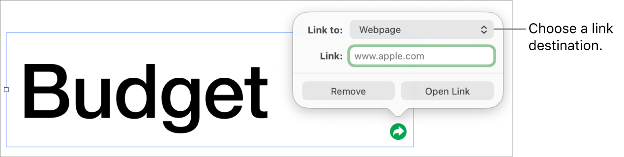 The link editor controls with Web Page selected and the Remove and Open Link buttons at the bottom.