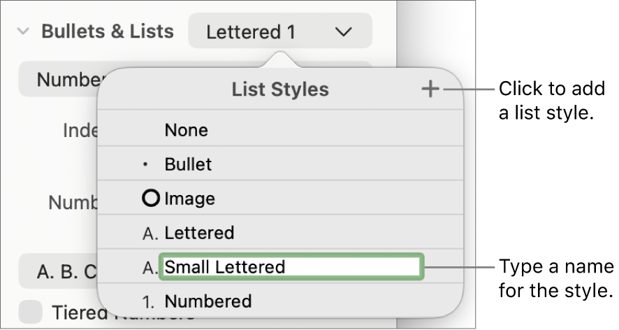 The List Styles pop-up menu with an Add button in the top-right corner and a placeholder style name with its text selected.