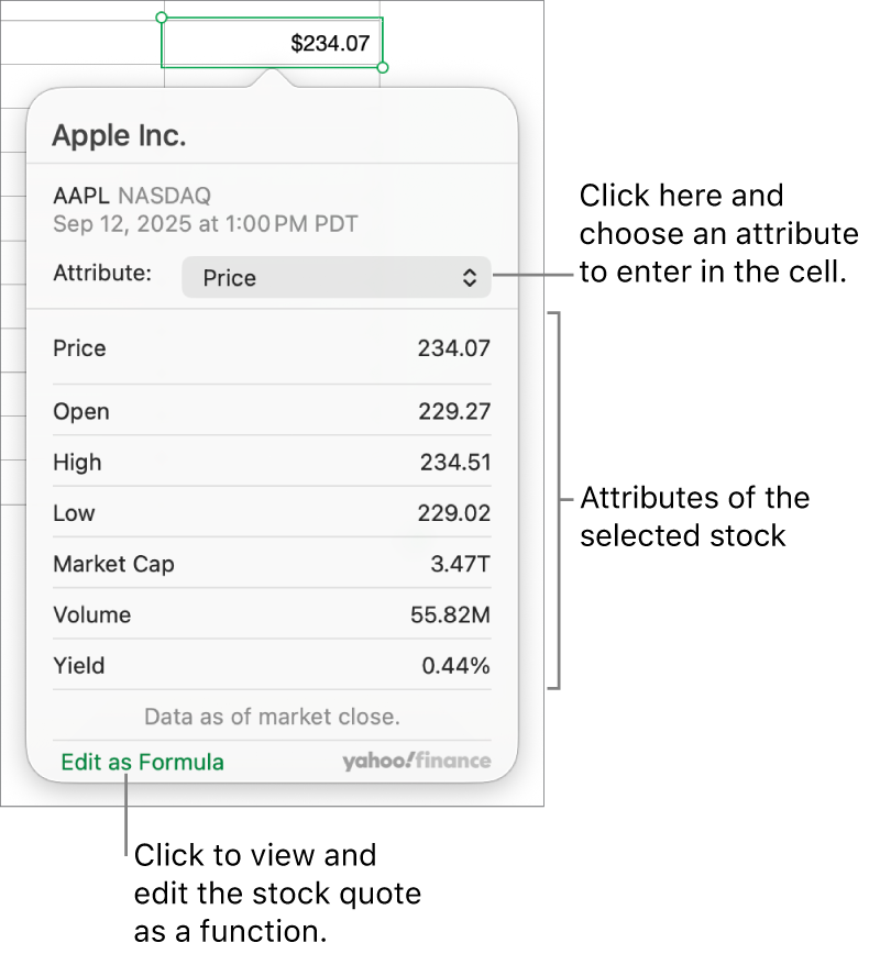 The dialog for entering stock attribute information, with Apple as the selected stock.