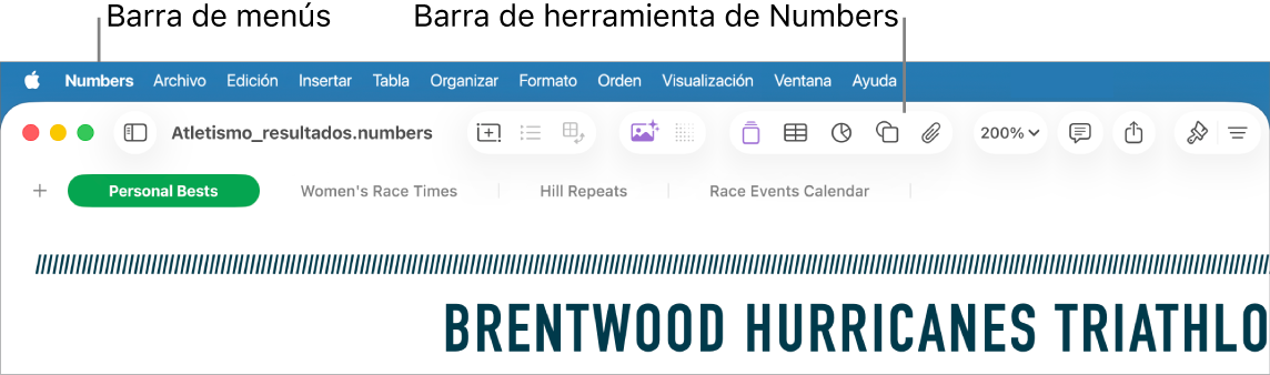 La barra de menús en la parte superior de la pantalla con los menús Apple, Numbers, Archivo, Edición, Insertar, Tabla, Organizar, Formato, Ordenar, Visualización, Ventana y Ayuda. Debajo de la barra de menús se encuentra una hoja de cálculo de Numbers abierta con botones de la barra de herramientas a lo largo de la parte superior, con las opciones Visualización, Zoom, Agregar categoría, Tabla dinámica, Insertar, Tabla, Gráfica y Texto.