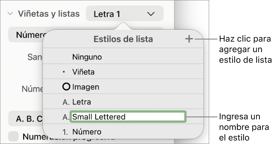 El menú desplegable Estilos de lista con el botón Agregar en la esquina superior derecha y un nombre de estilo de marcador de posición con su texto seleccionado.