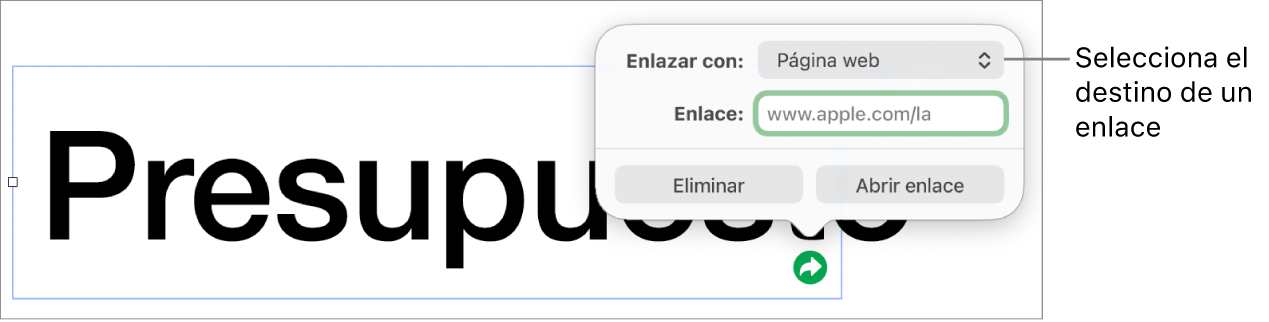 Los controles del editor de enlaces con la opción Página Web seleccionada, con el botón Eliminar y el botón Abrir enlace en la parte de abajo.