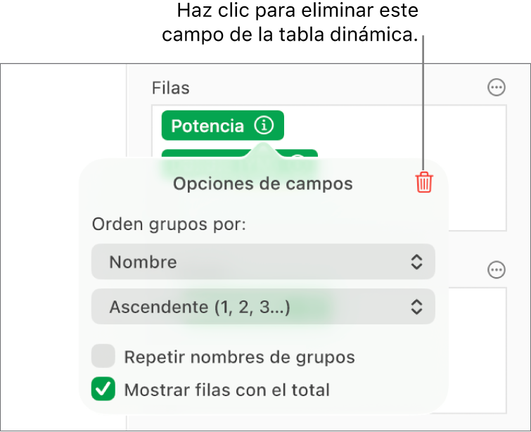 El menú Opciones de campos, mostrando los controles para agrupar y clasificar los datos, así como la opción para eliminar un campo.