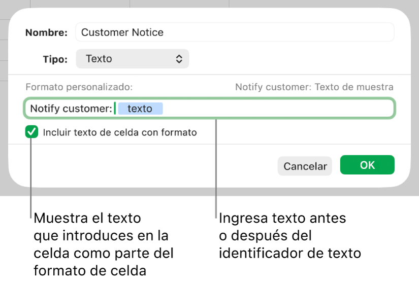 Formato de celda de texto personalizada.