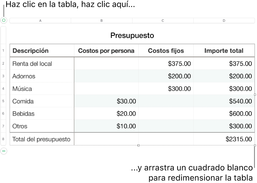 Una tabla seleccionada con cuadrados blancos para redimensionarla.