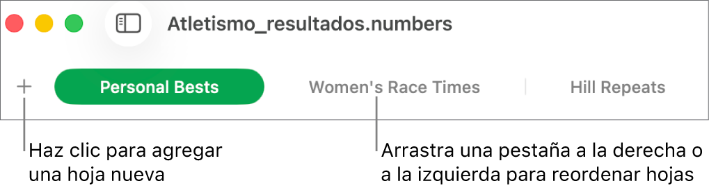 La barra de pestañas para agregar una nueva hoja y reorganizar las hojas.