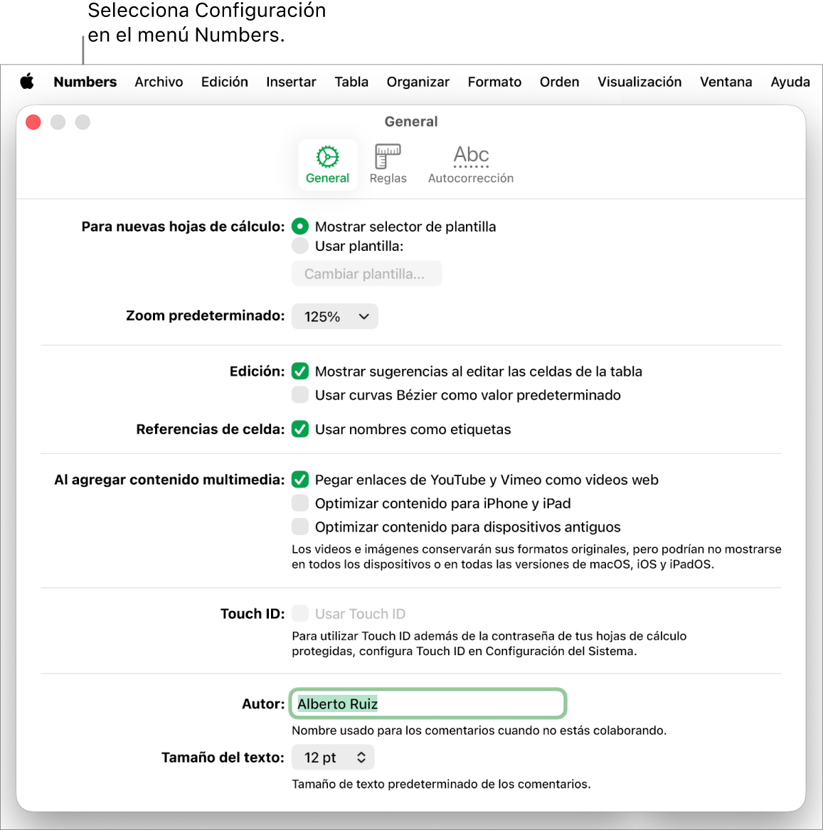 La ventana del panel de configuración de Numbers está abierta en el panel General, con configuraciones para nuevas hojas de cálculo, el zoom predeterminado, la edición, las referencias a celdas, las ecuaciones, la adición de contenido, Touch ID, el nombre del autor y el tamaño de texto predeterminado.
