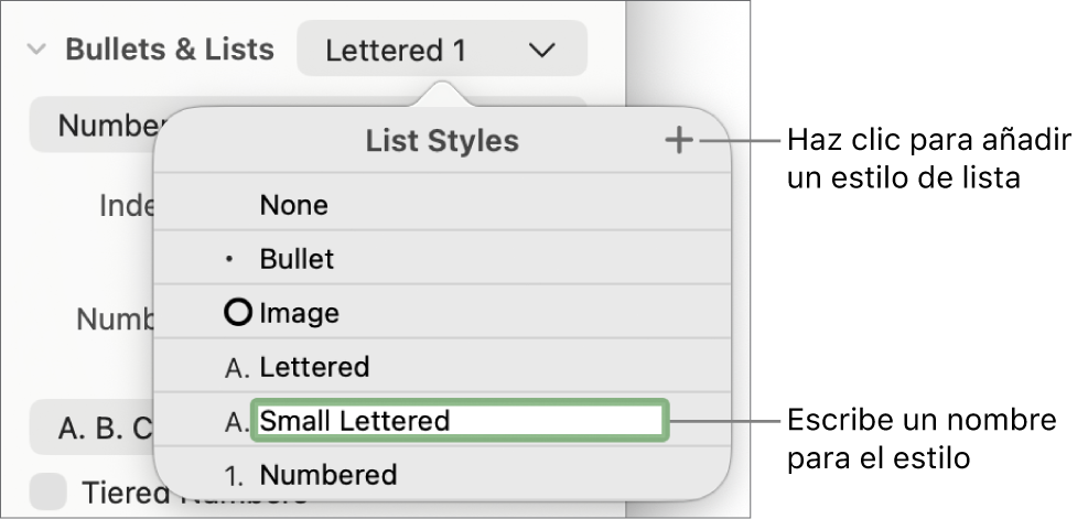 El menú desplegable “Estilos de lista” con el botón Añadir en la esquina superior derecha y un marcador de posición de nombre de estilo con su texto seleccionado.