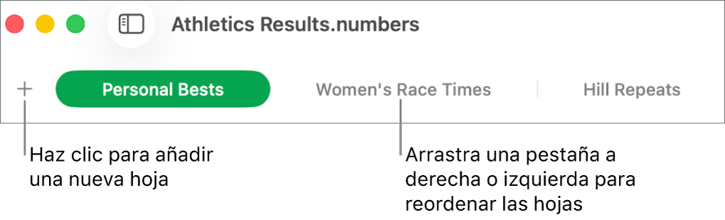 La barra de pestañas para añadir una nueva hoja y reorganizar las hojas.