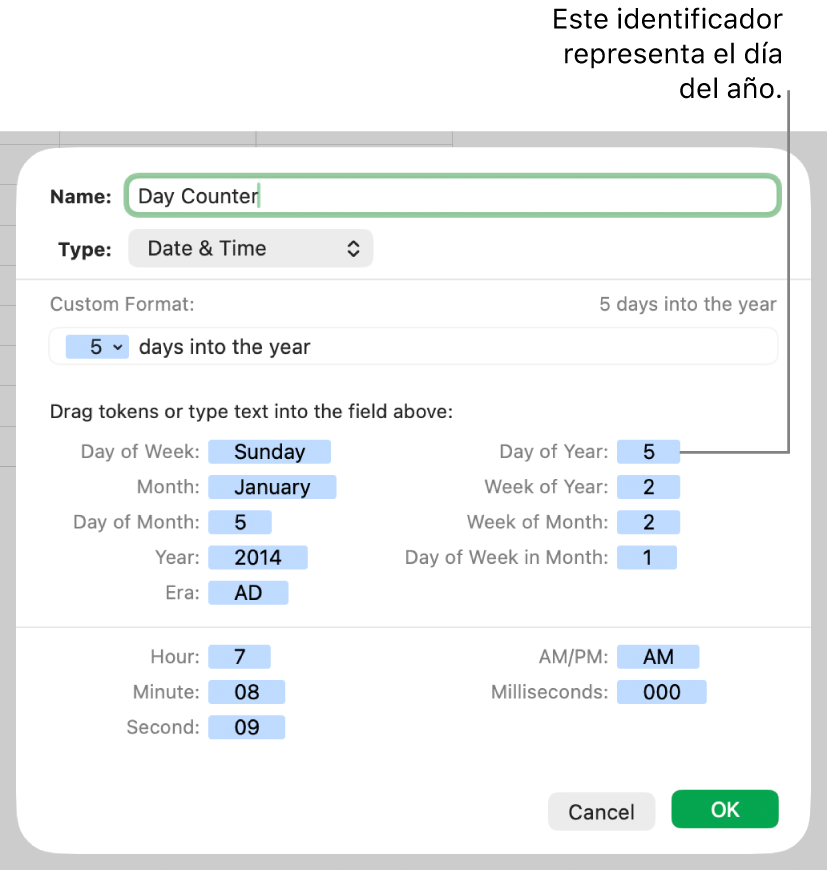 Formato de fecha y hora personalizado.