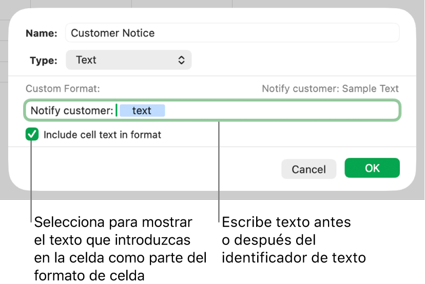 Formato de celda de texto personalizada.