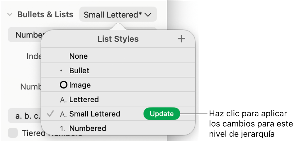 El menú desplegable “Estilos de lista” con el botón Actualizar junto al nombre del nuevo estilo.