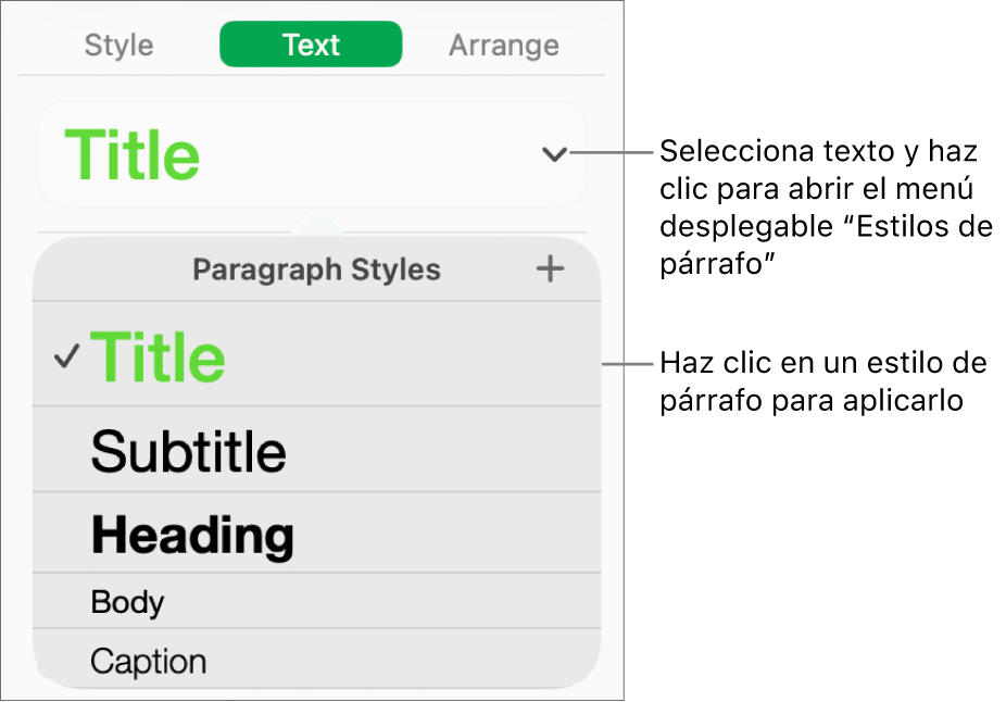 El menú “Estilos de párrafo”.