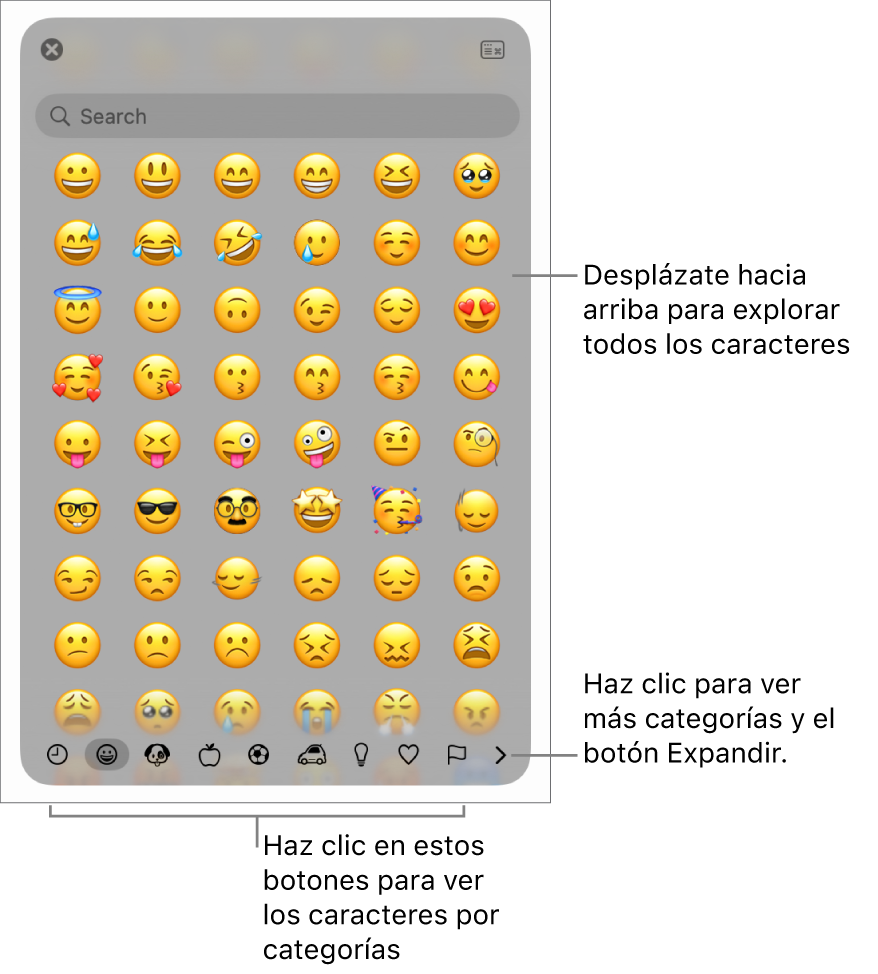 La ventana desplegable “Caracteres especiales” con emoticonos, botones para diferentes tipos de símbolos en la parte inferior y una llamada a un botón para mostrar la ventana Caracteres completa.