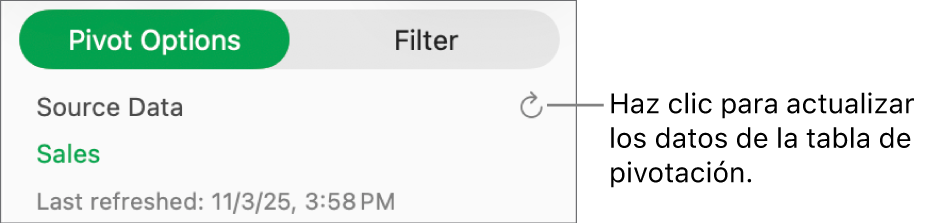 La pestaña Opciones de pivotación mostrando la opción de actualizar la tabla de pivotación.