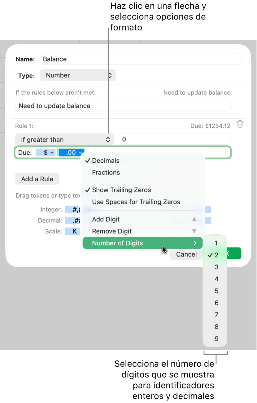 La ventana de formato de celda personalizado con controles para seleccionar opciones de formato personalizadas.